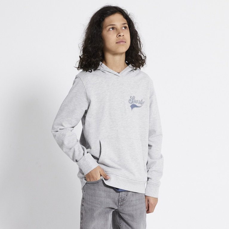 Printed hoodie "Jordon"